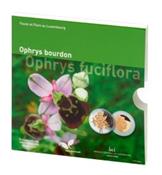 Obverse of Official Blister - Ophrys Bourdon KMS Set